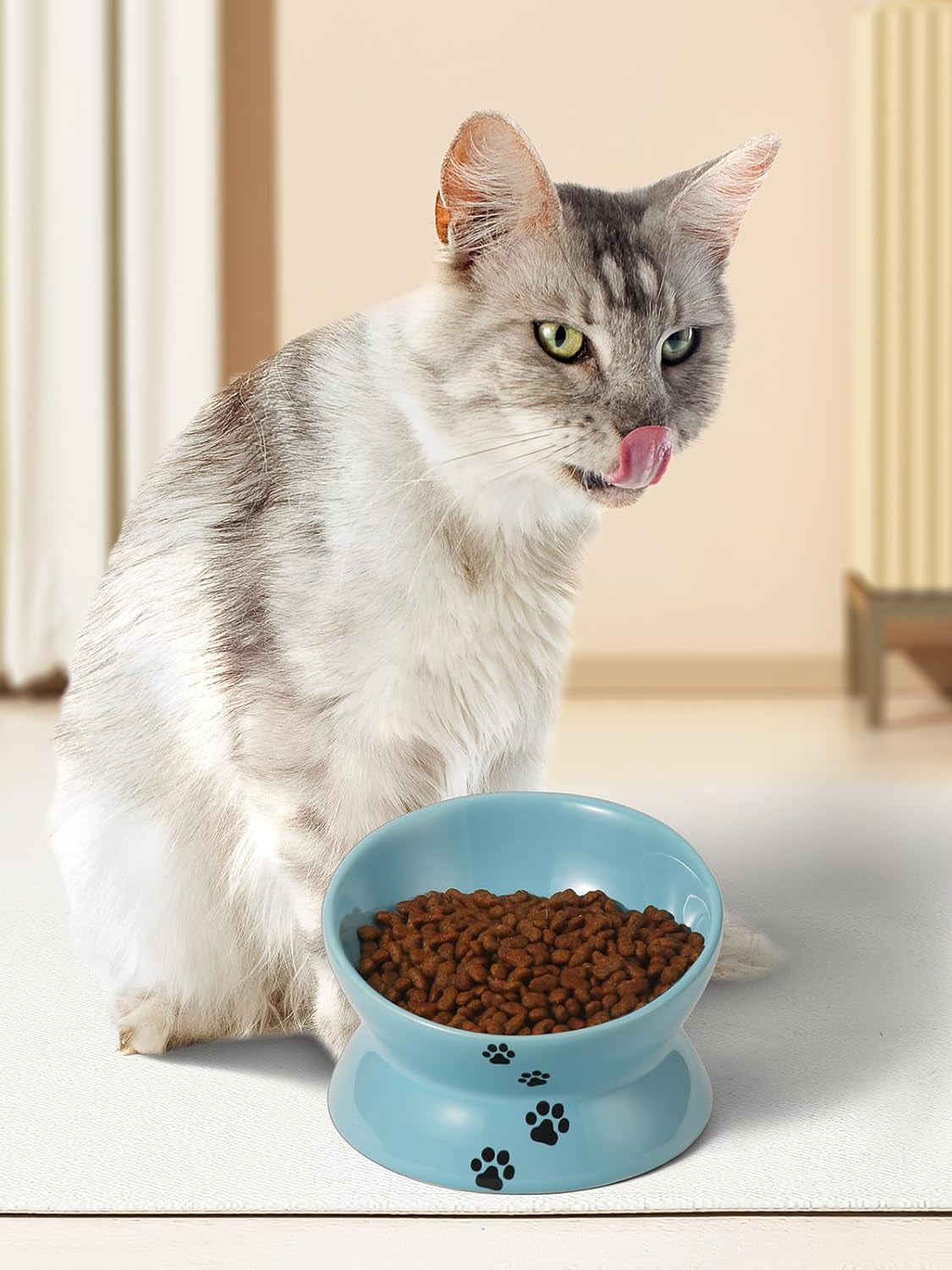 Elevated Ceramic Cat Food Bowl - Anti-Vomiting, Spine-Friendly Design in Lake Blue