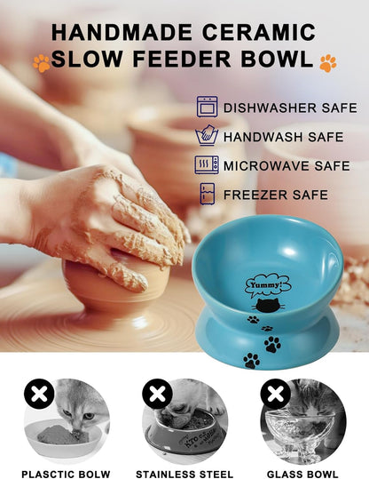Elevated Ceramic Cat Food Bowl - Anti-Vomiting, Spine-Friendly Design in Lake Blue