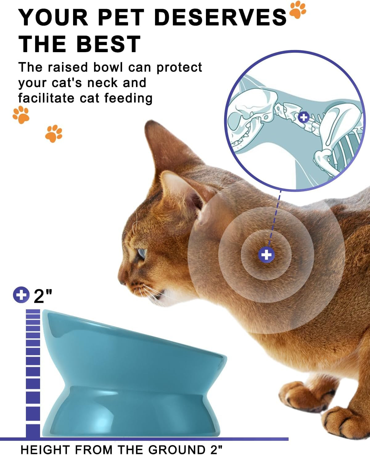 Elevated Ceramic Cat Food Bowl - Anti-Vomiting, Spine-Friendly Design in Lake Blue