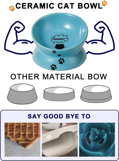 Elevated Ceramic Cat Food Bowl - Anti-Vomiting, Spine-Friendly Design in Lake Blue